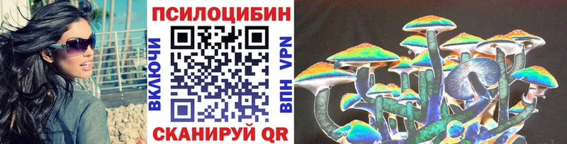 наркошоп  Белоусово  гидра ссылка  Галлюциногенные грибы Psilocybine cubensis 